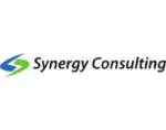 Synergy Pro Business & Legal Consulting company logo