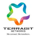 Terrabit Consulting company logo